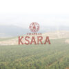 Anbieter für libanesischen Wein von Chateau Ksara